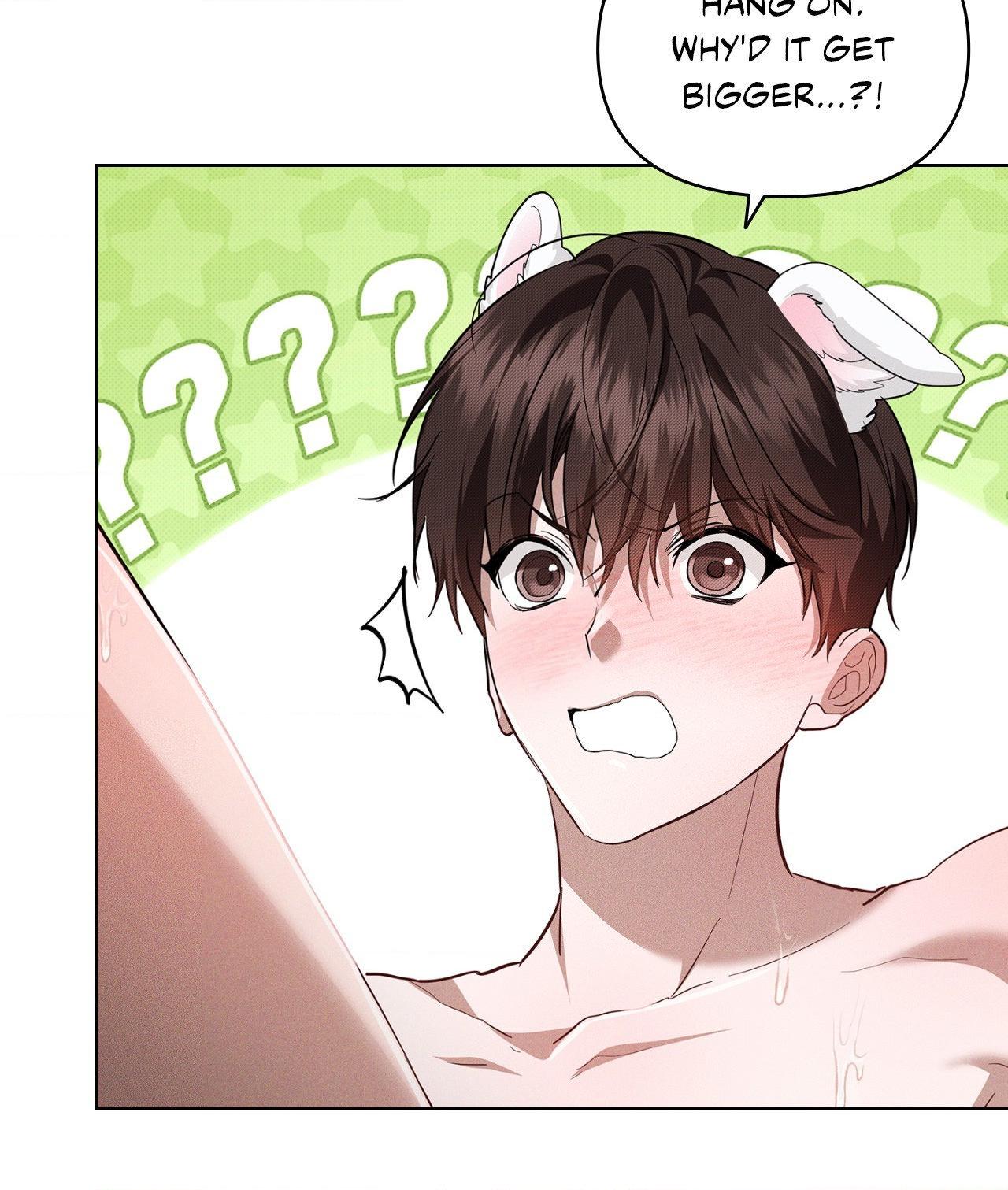 Read Paws & Claws chapter 41 image 63 on Lezhin