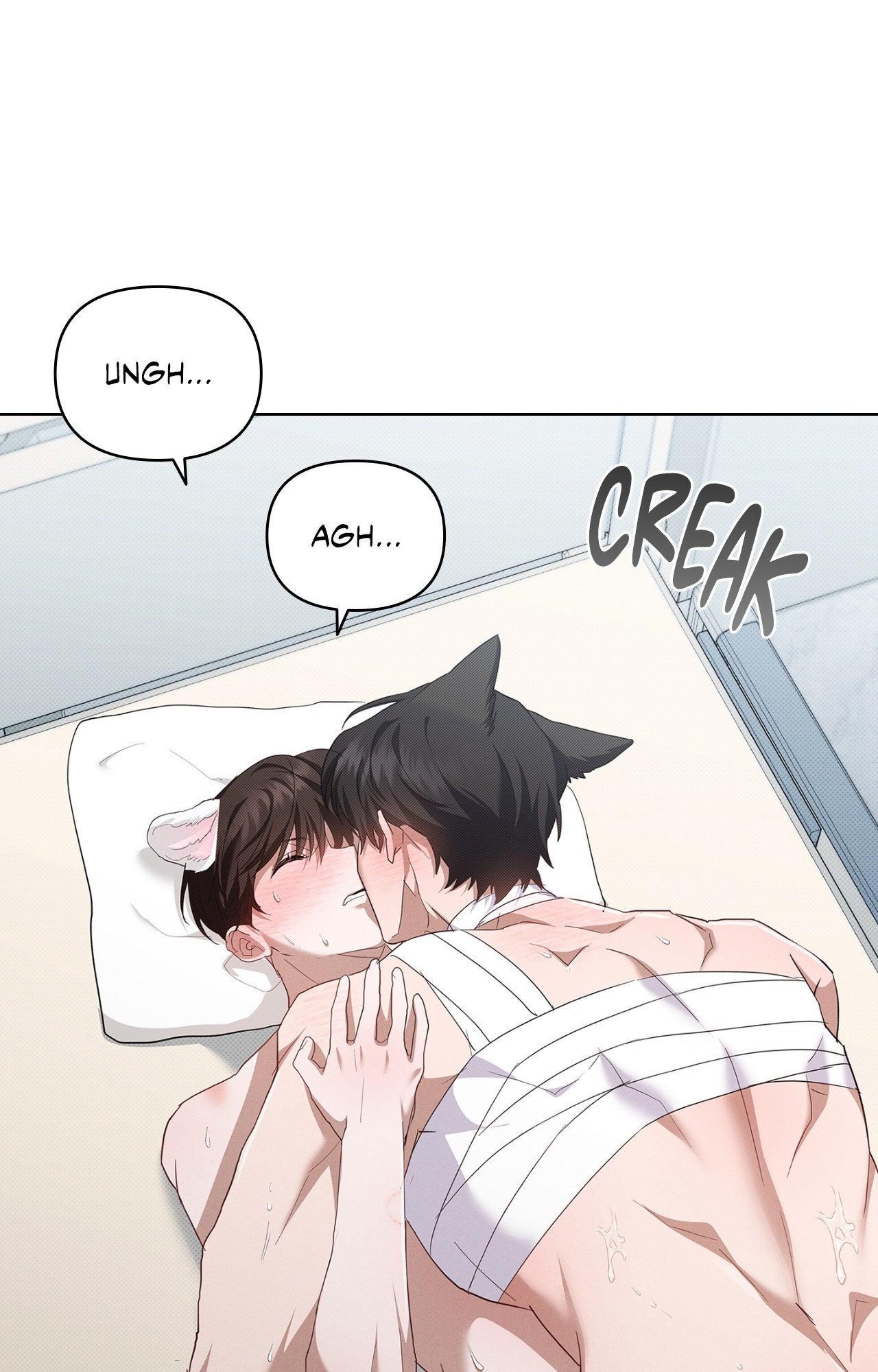 Read Paws & Claws chapter 42 image 67 on Lezhin