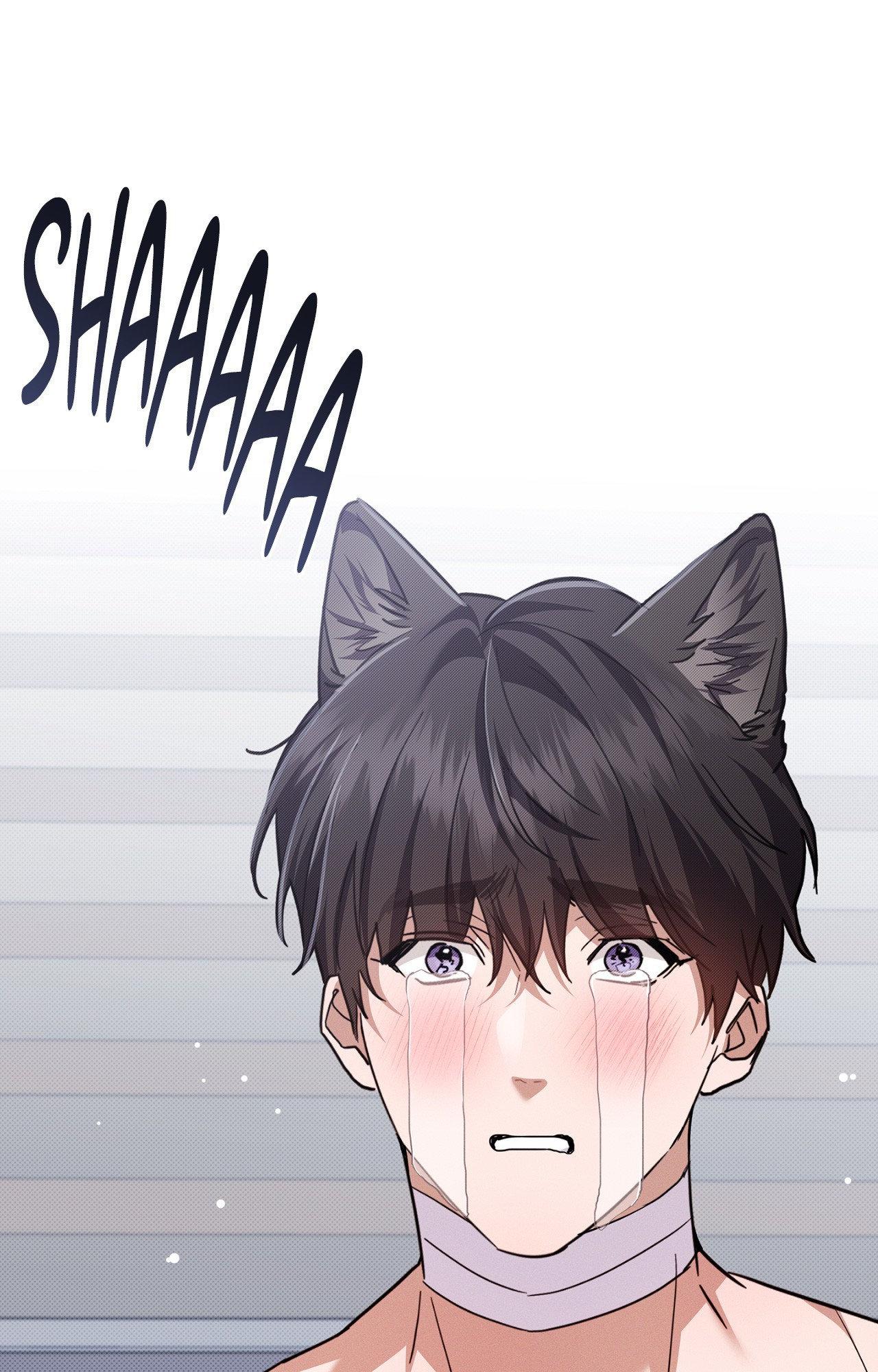 Read Paws & Claws chapter 43 image 42 on Lezhin