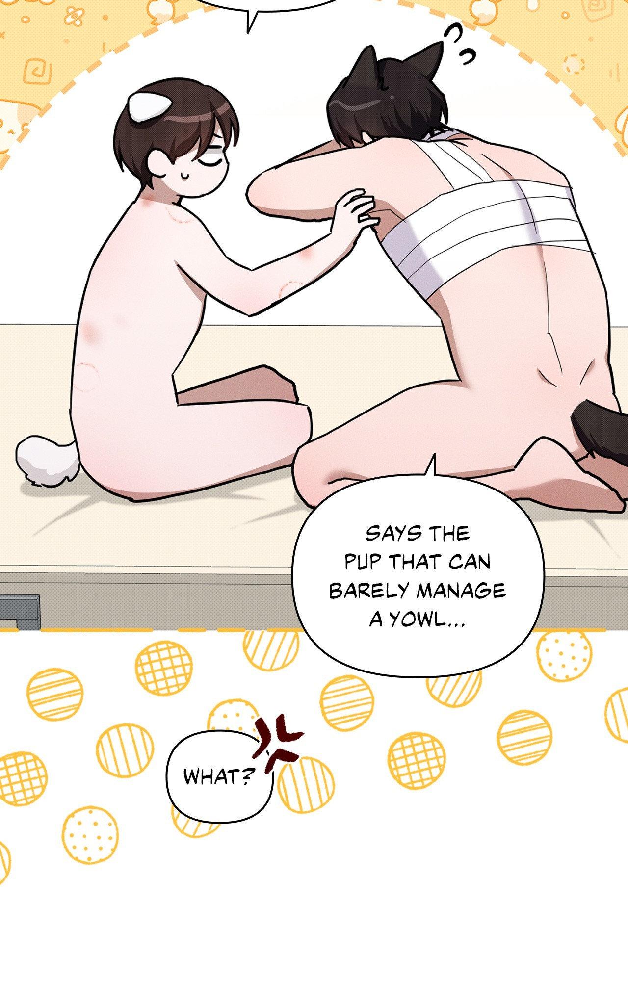 Read Paws & Claws chapter 43 image 44 on Lezhin