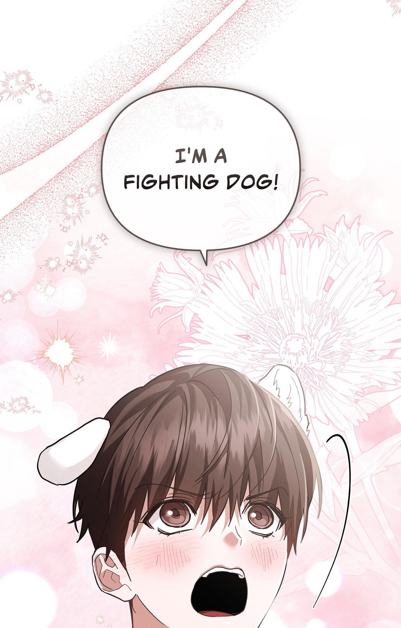 Read Paws & Claws chapter 43 image 67 on Lezhin