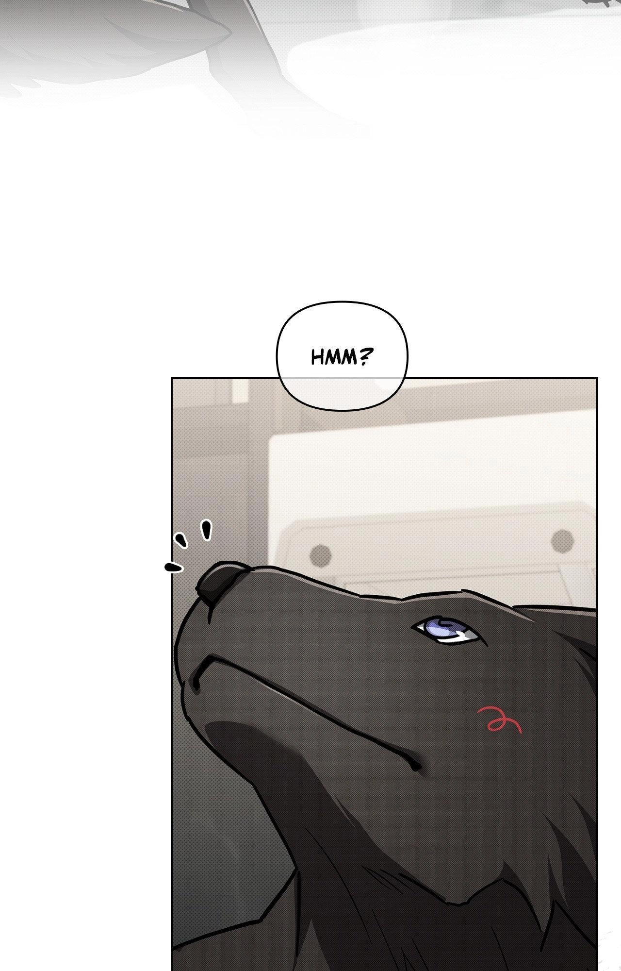 Read Paws & Claws chapter 44.01 image 18 on Lezhin