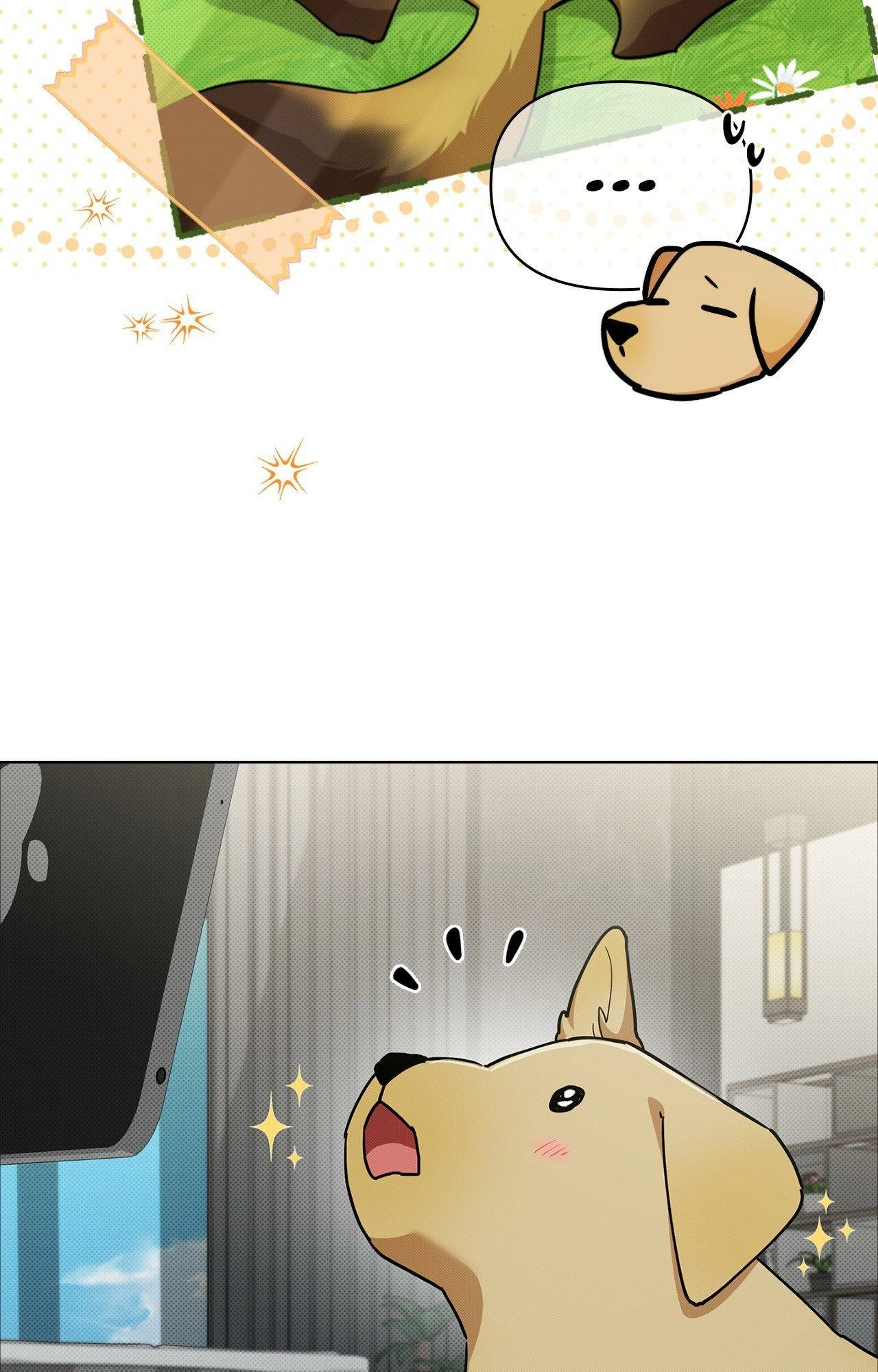 Read Paws & Claws chapter 44.06 image 46 on Lezhin