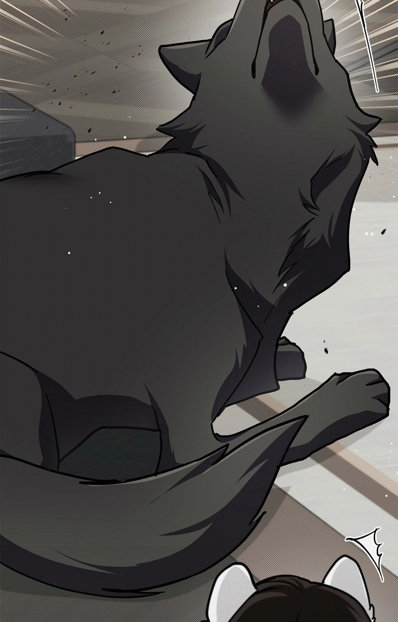 Read Paws & Claws chapter 44.06 image 54 on Lezhin
