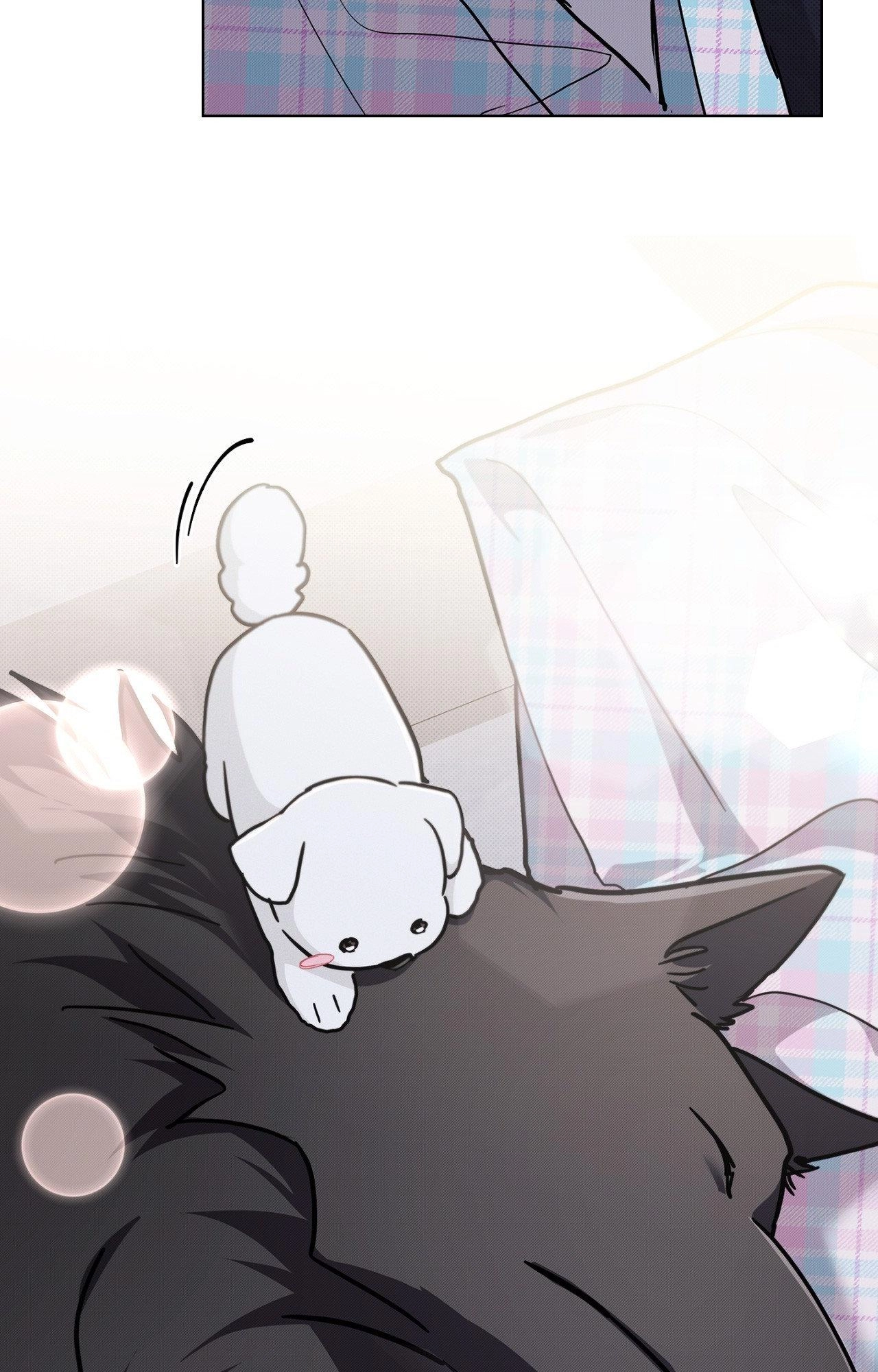 Read Paws & Claws chapter 44.07 image 19 on Lezhin