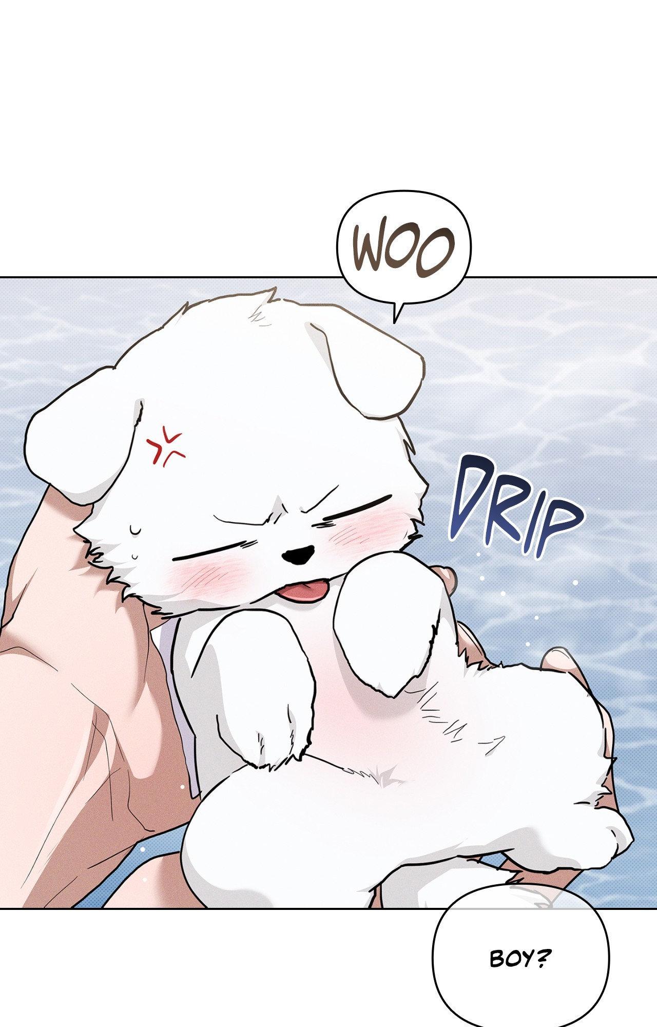 Read Paws & Claws chapter 44 image 58 on Lezhin