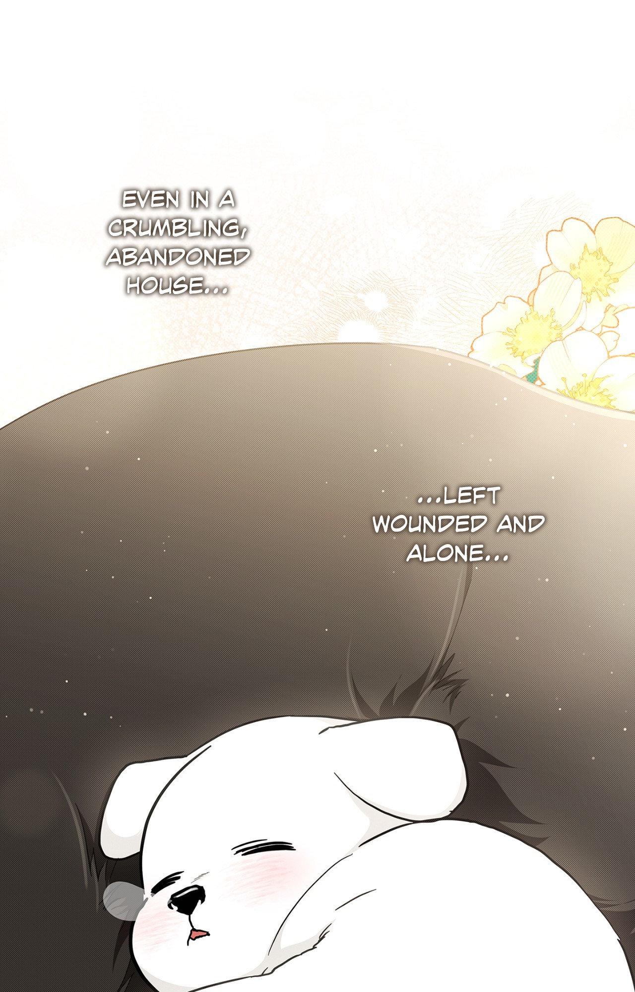 Read Paws & Claws chapter 44 image 70 on Lezhin