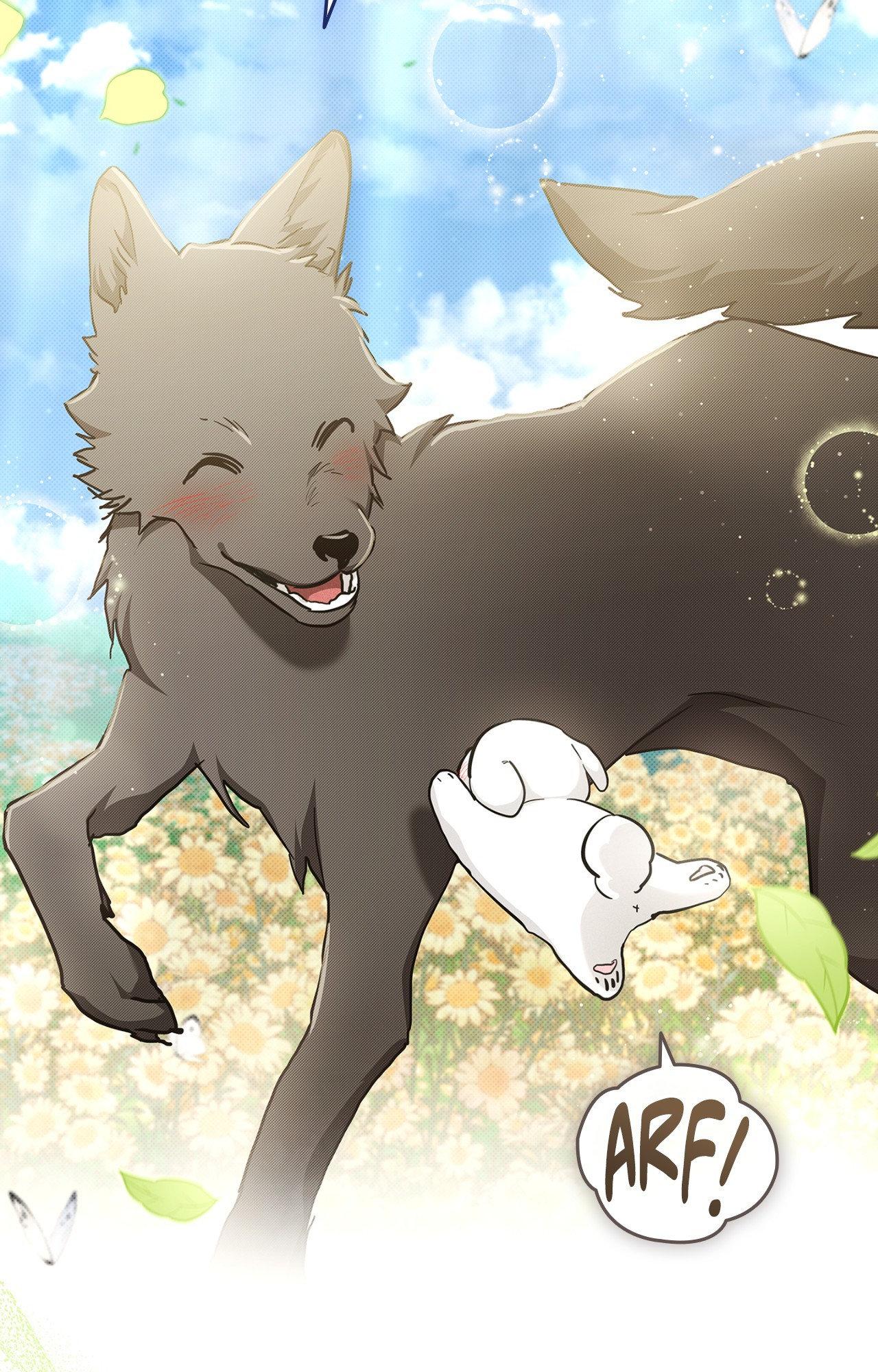 Read Paws & Claws chapter 44 image 80 on Lezhin
