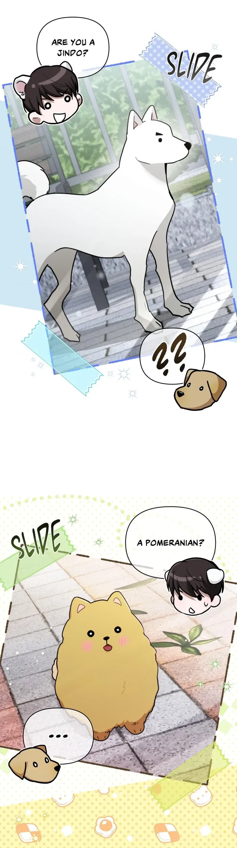 Read Paws & Claws chapter 50 image 16 on Lezhin