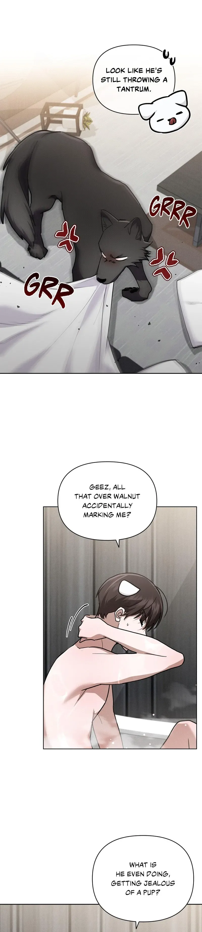 Read Paws & Claws chapter 50 image 24 on Lezhin