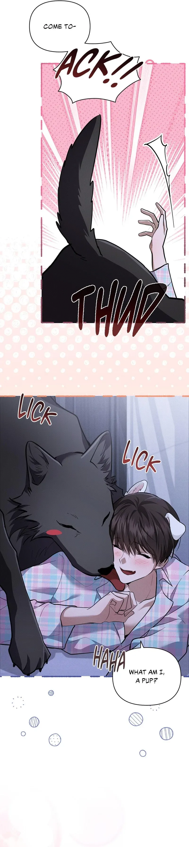 Read Paws & Claws chapter 50 image 32 on Lezhin