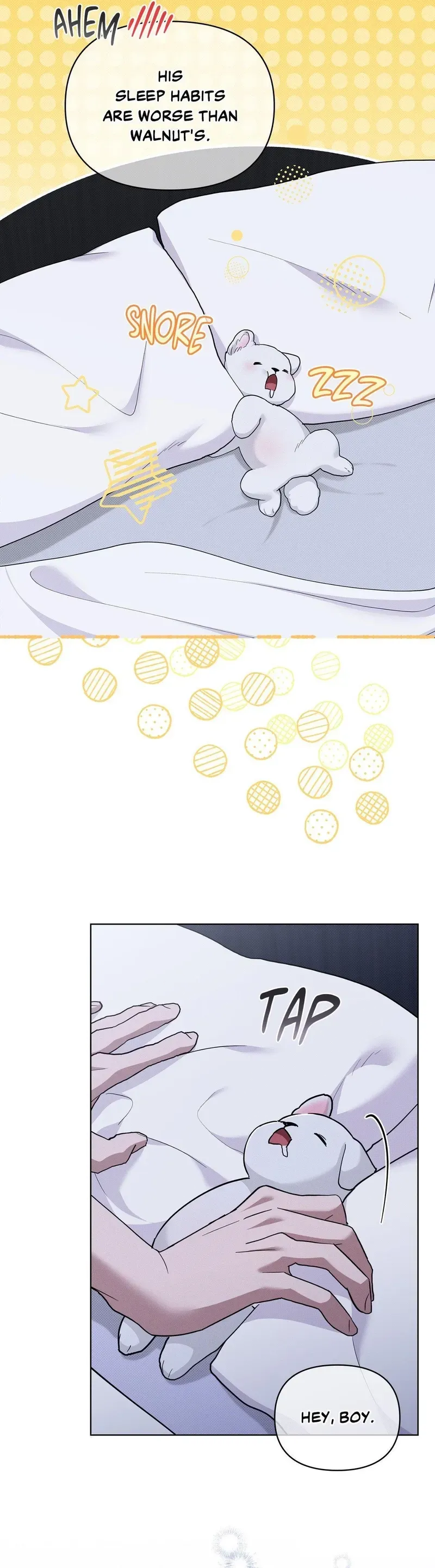 Read Paws & Claws chapter 50 image 4 on Lezhin