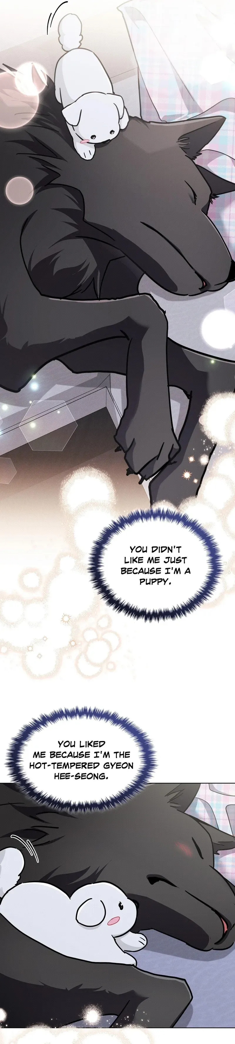 Read Paws & Claws chapter 51 image 7 on Lezhin