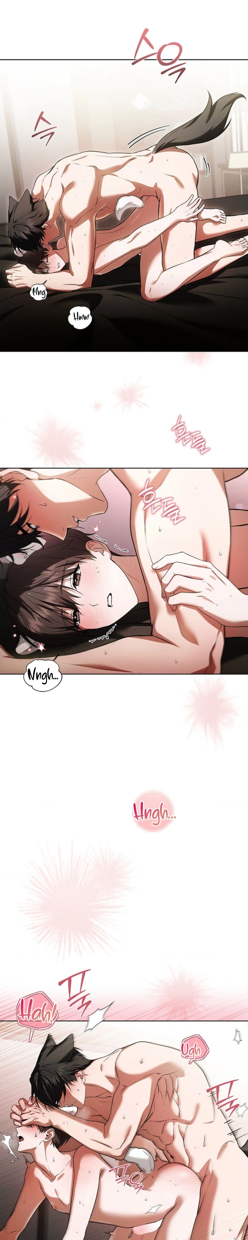 Read Paws & Claws chapter 57 image 24 on Lezhin