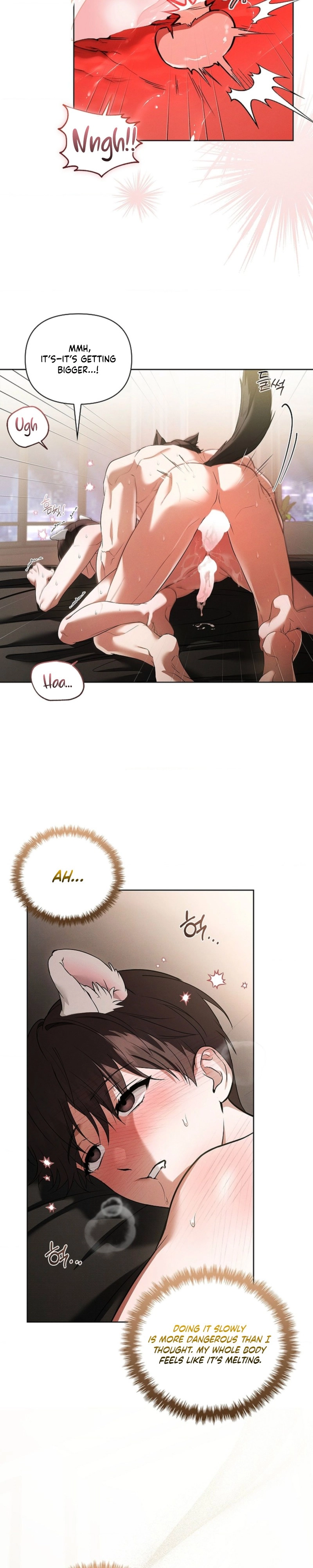 Read Paws & Claws chapter 57 image 28 on Lezhin