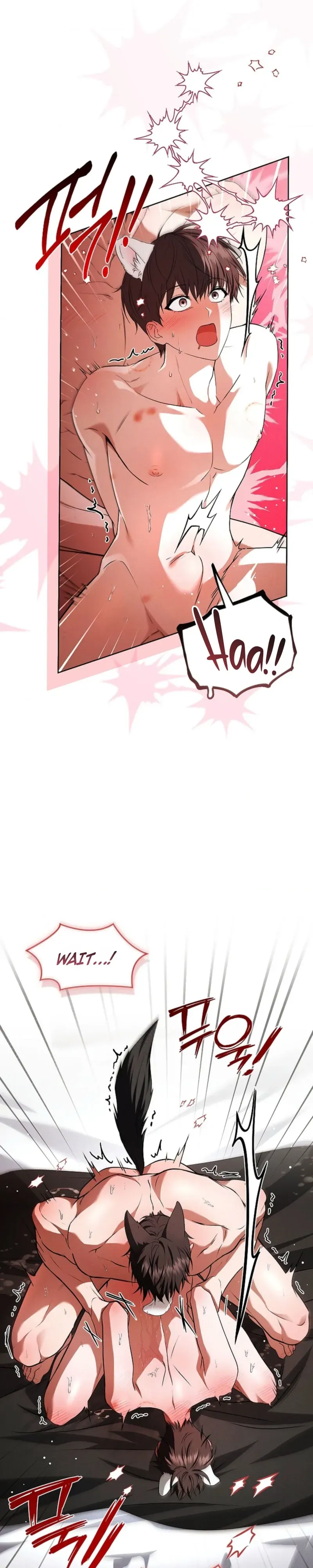 Read Paws & Claws chapter 58 image 10 on Lezhin