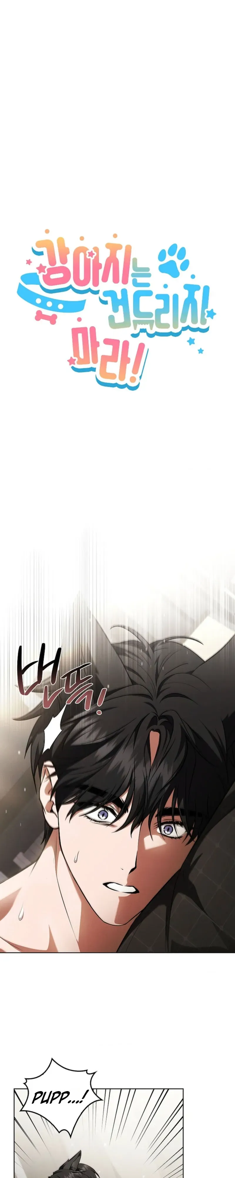 Read Paws & Claws chapter 58 image 12 on Lezhin