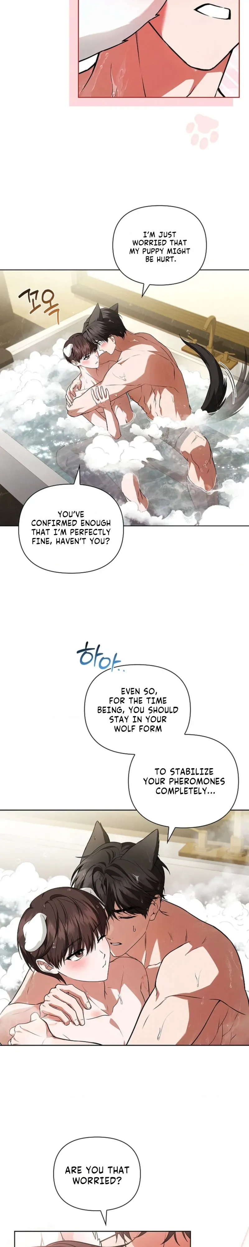 Read Paws & Claws chapter 58 image 25 on Lezhin
