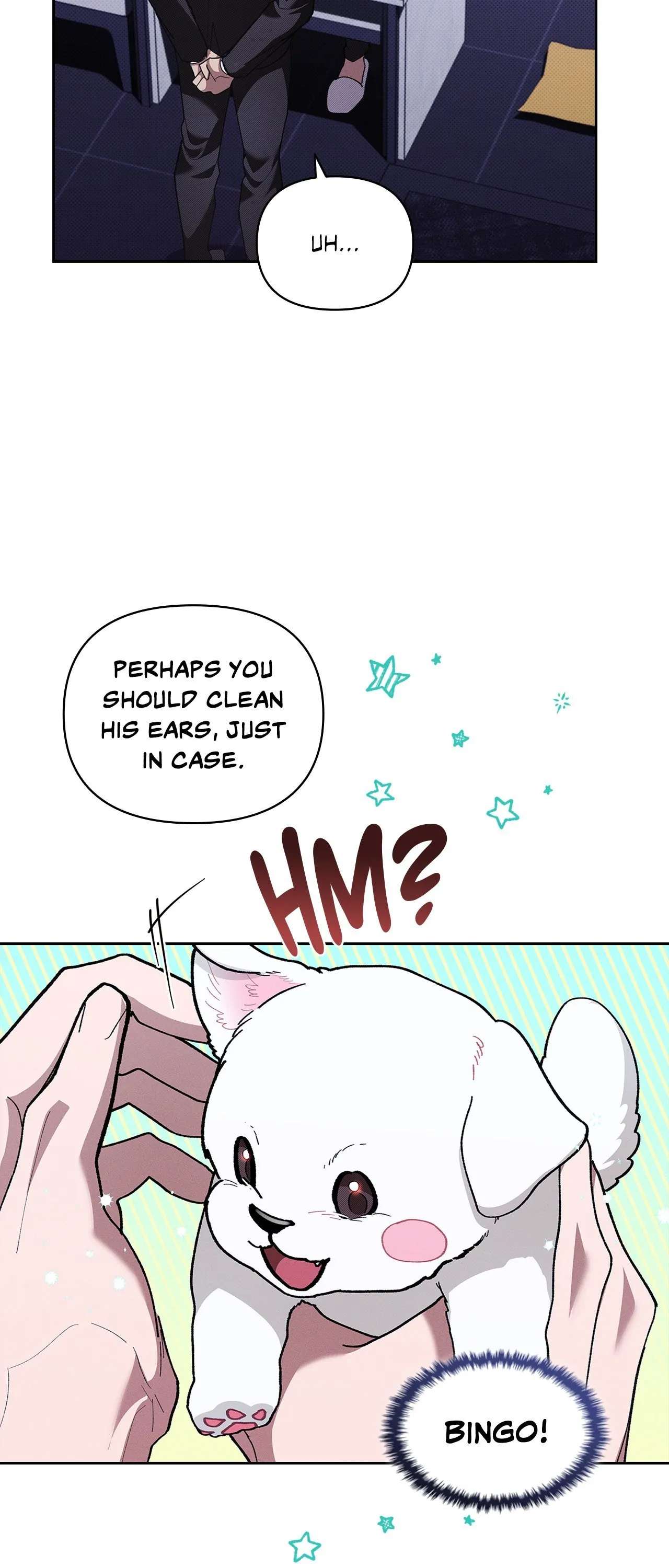 Read Paws & Claws chapter 6.1 image 46 on Lezhin