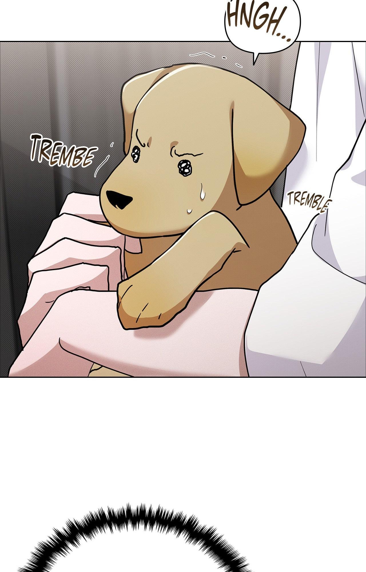 Read Paws & Claws chapter 6 image 22 on Lezhin