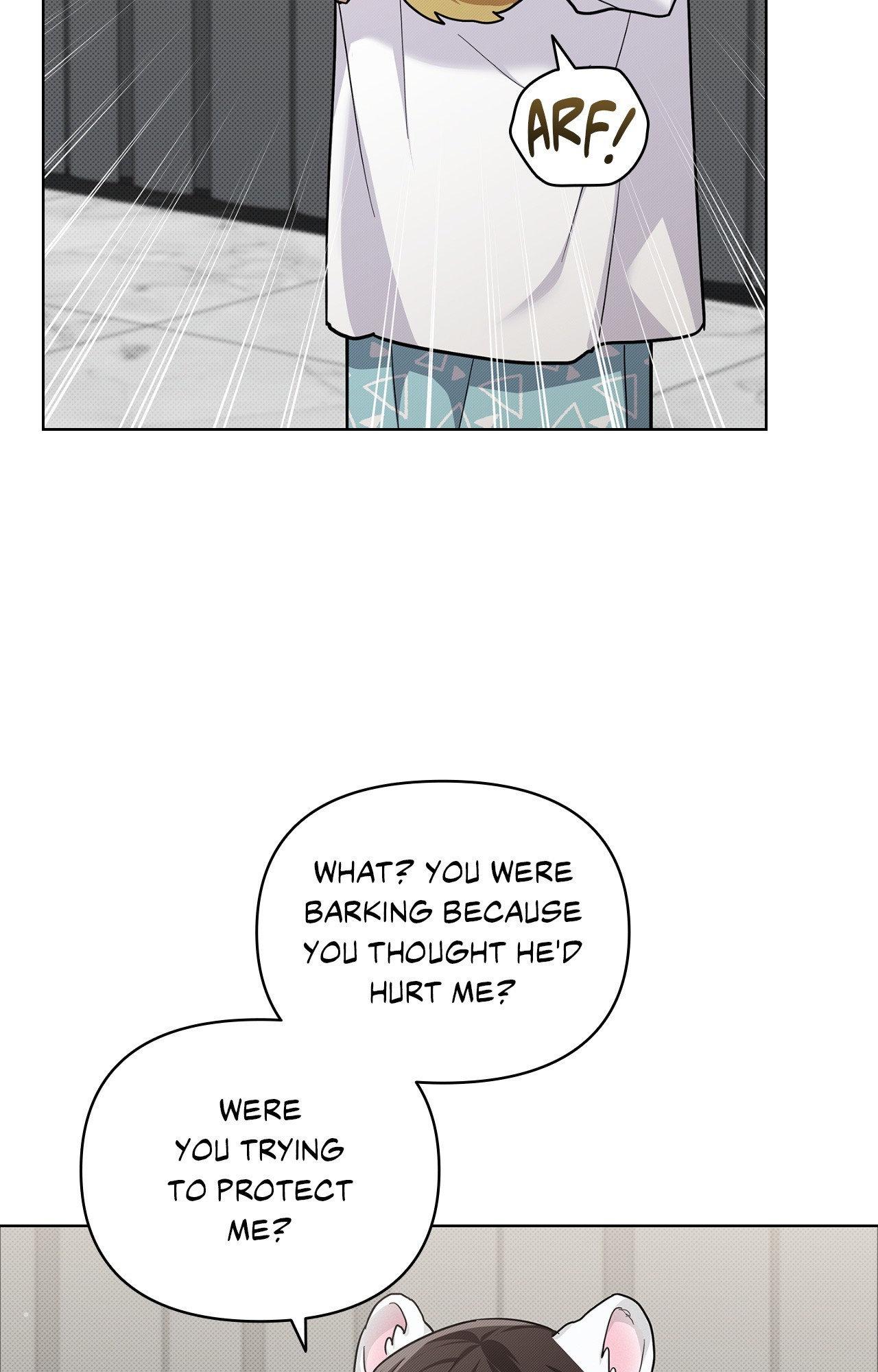 Read Paws & Claws chapter 6 image 34 on Lezhin
