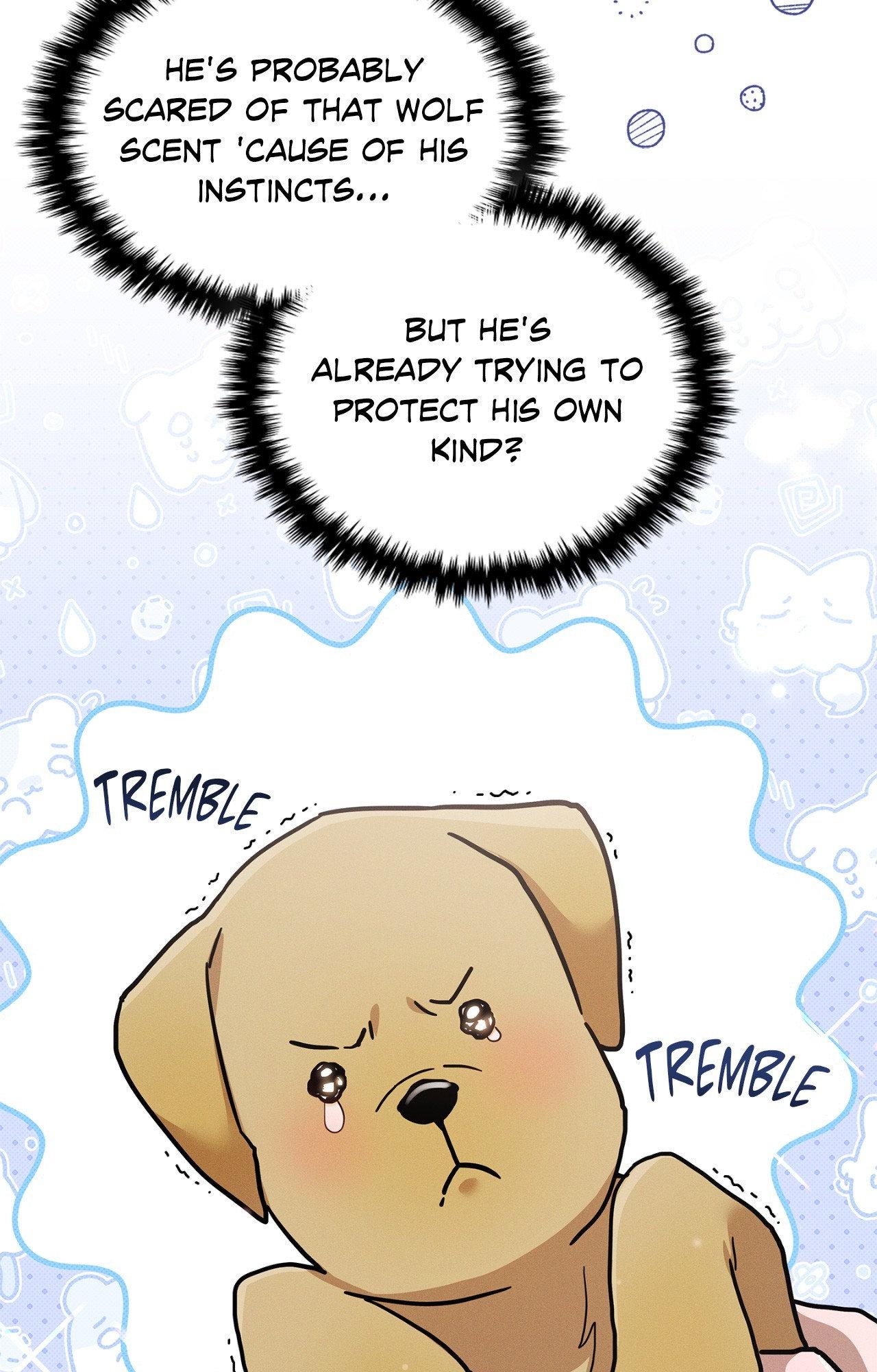 Read Paws & Claws chapter 6 image 36 on Lezhin