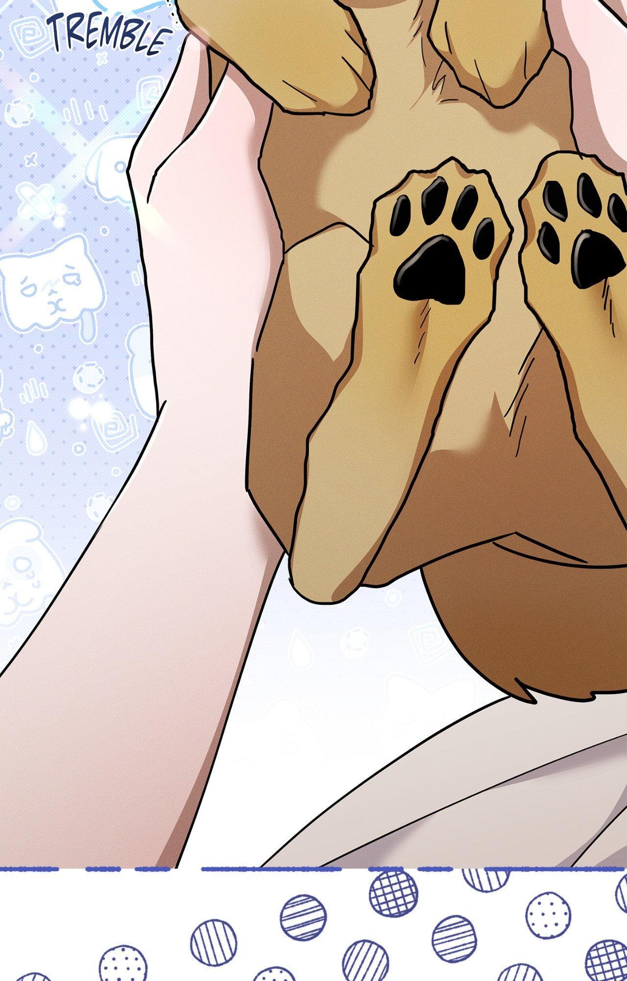 Read Paws & Claws chapter 6 image 37 on Lezhin