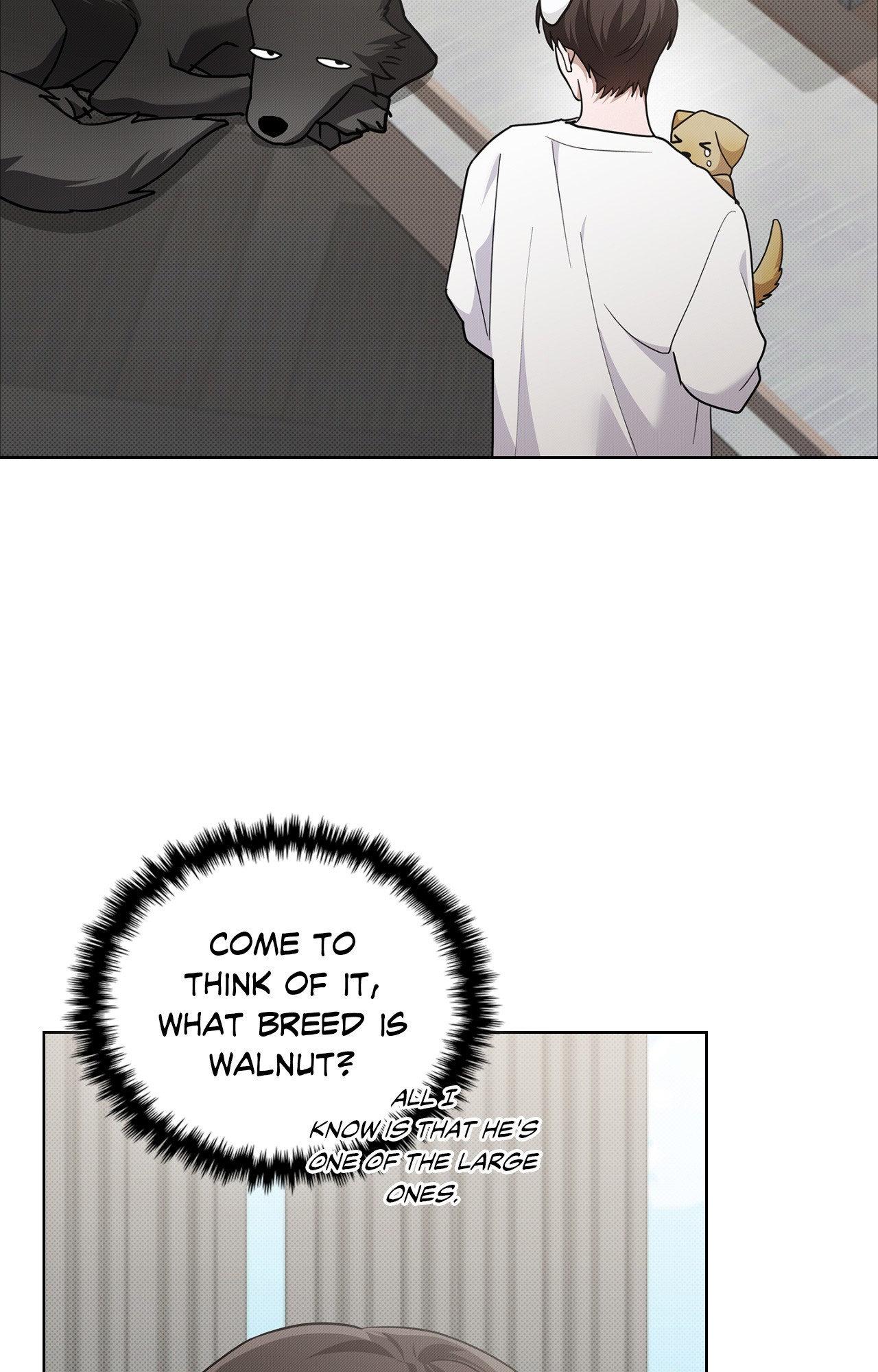 Read Paws & Claws chapter 6 image 41 on Lezhin