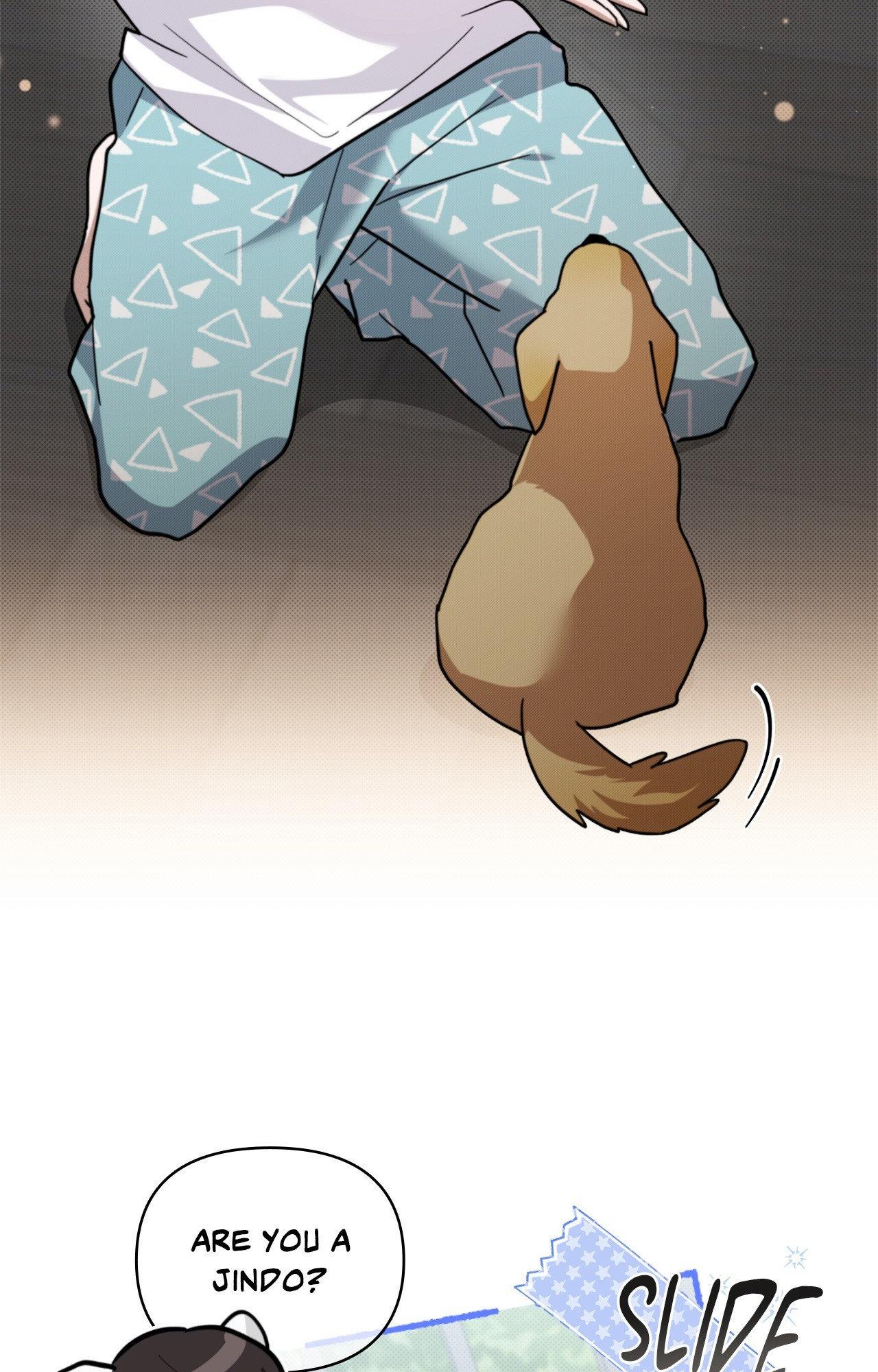 Read Paws & Claws chapter 6 image 44 on Lezhin