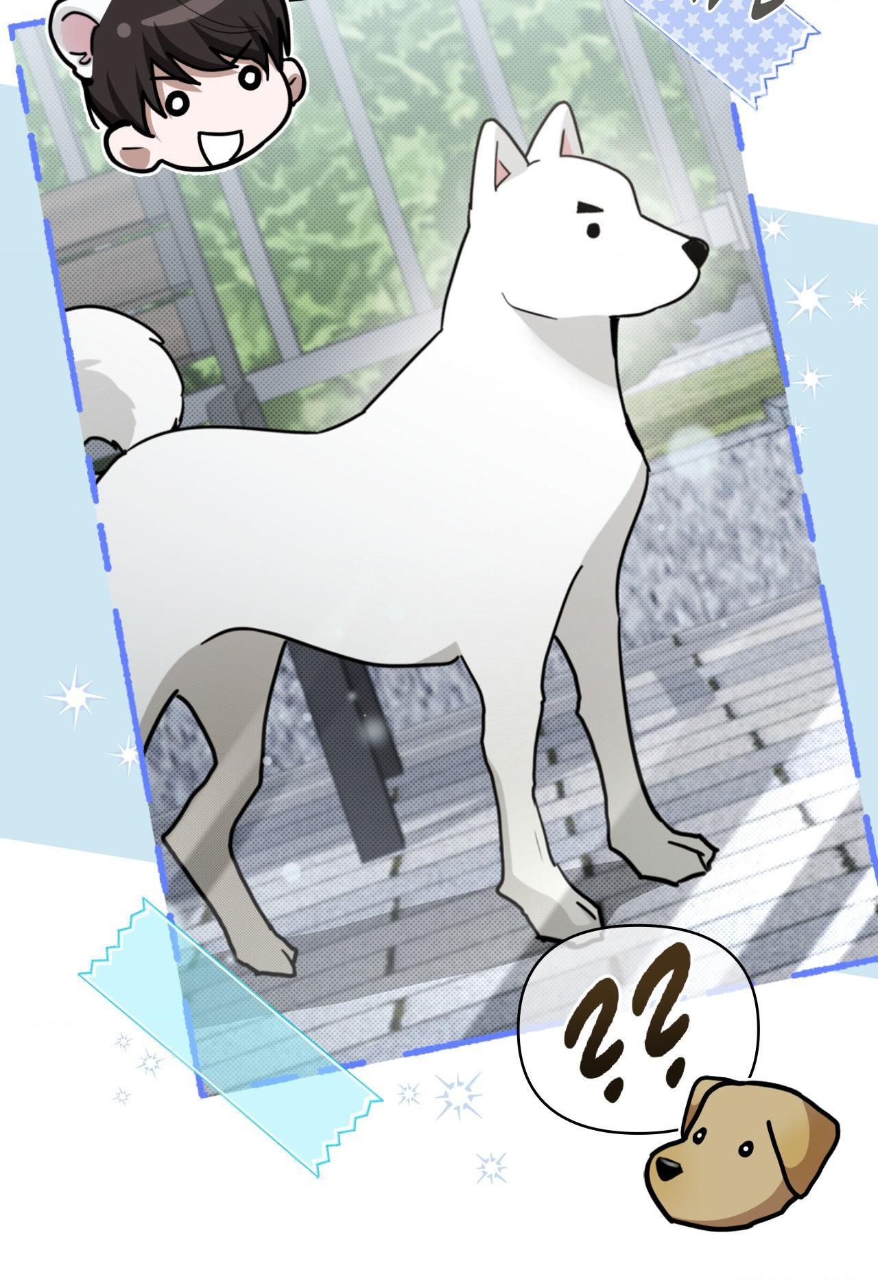 Read Paws & Claws chapter 6 image 45 on Lezhin
