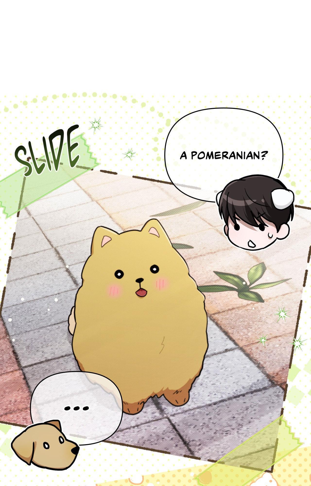Read Paws & Claws chapter 6 image 46 on Lezhin