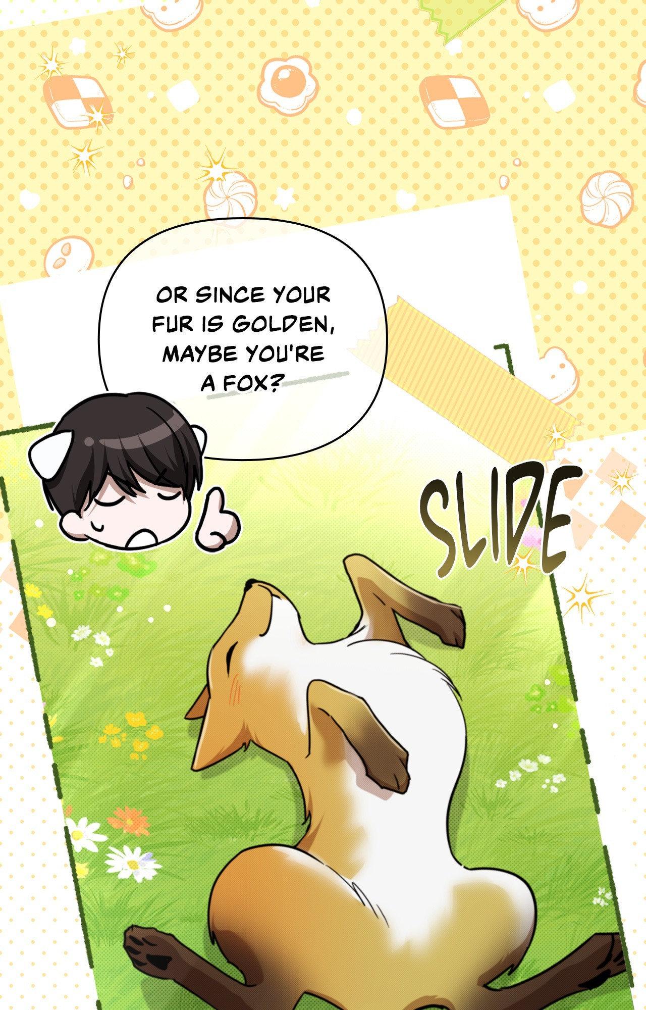 Read Paws & Claws chapter 6 image 47 on Lezhin