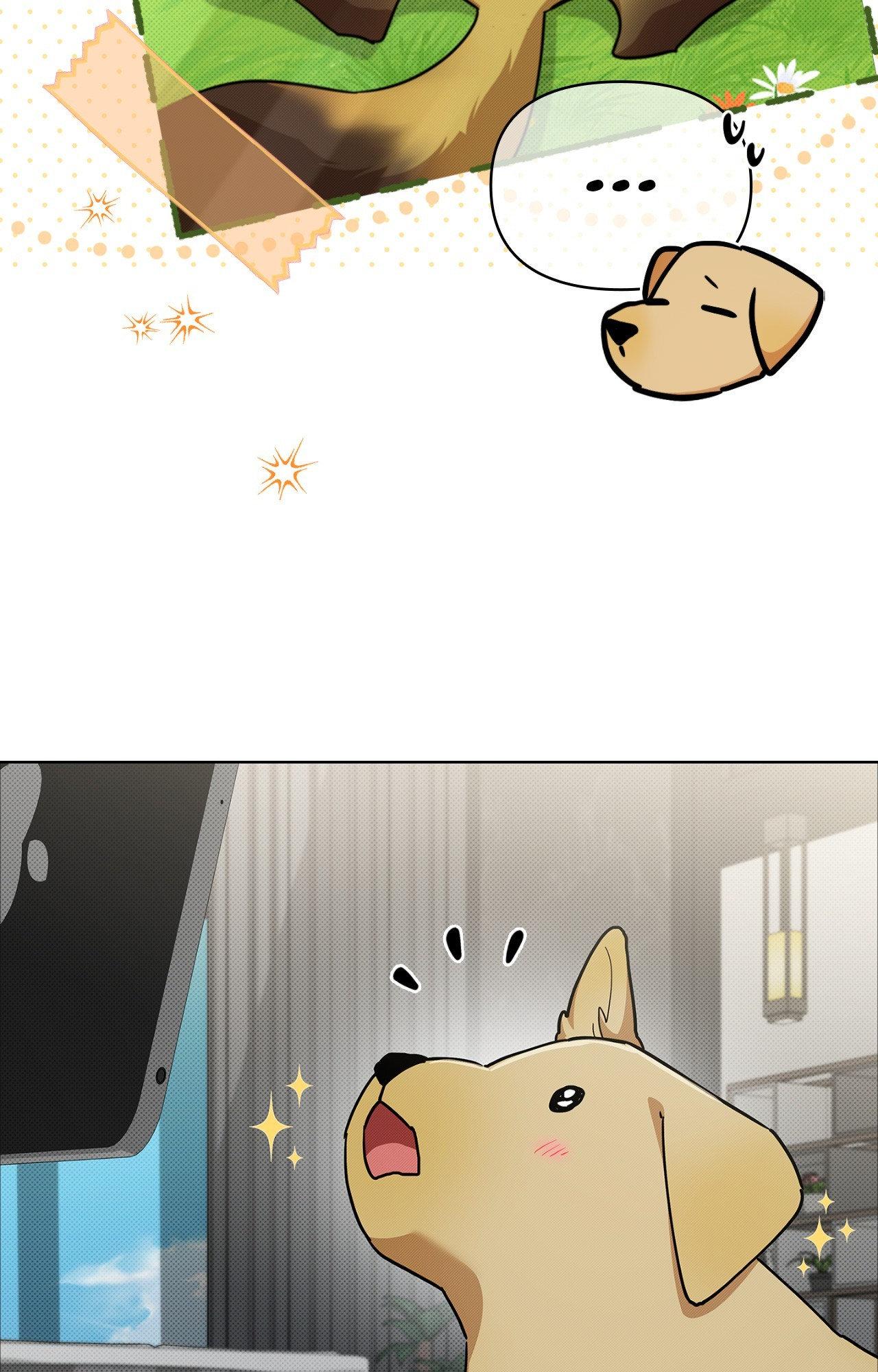 Read Paws & Claws chapter 6 image 48 on Lezhin