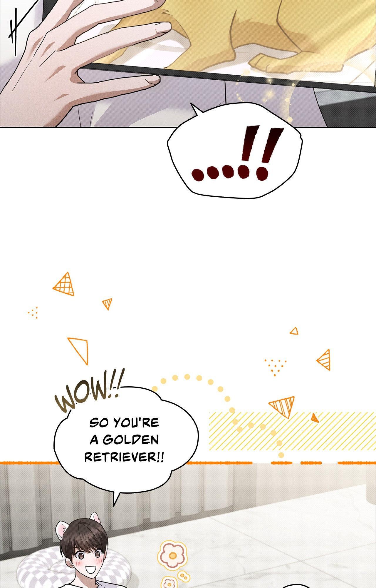 Read Paws & Claws chapter 6 image 50 on Lezhin