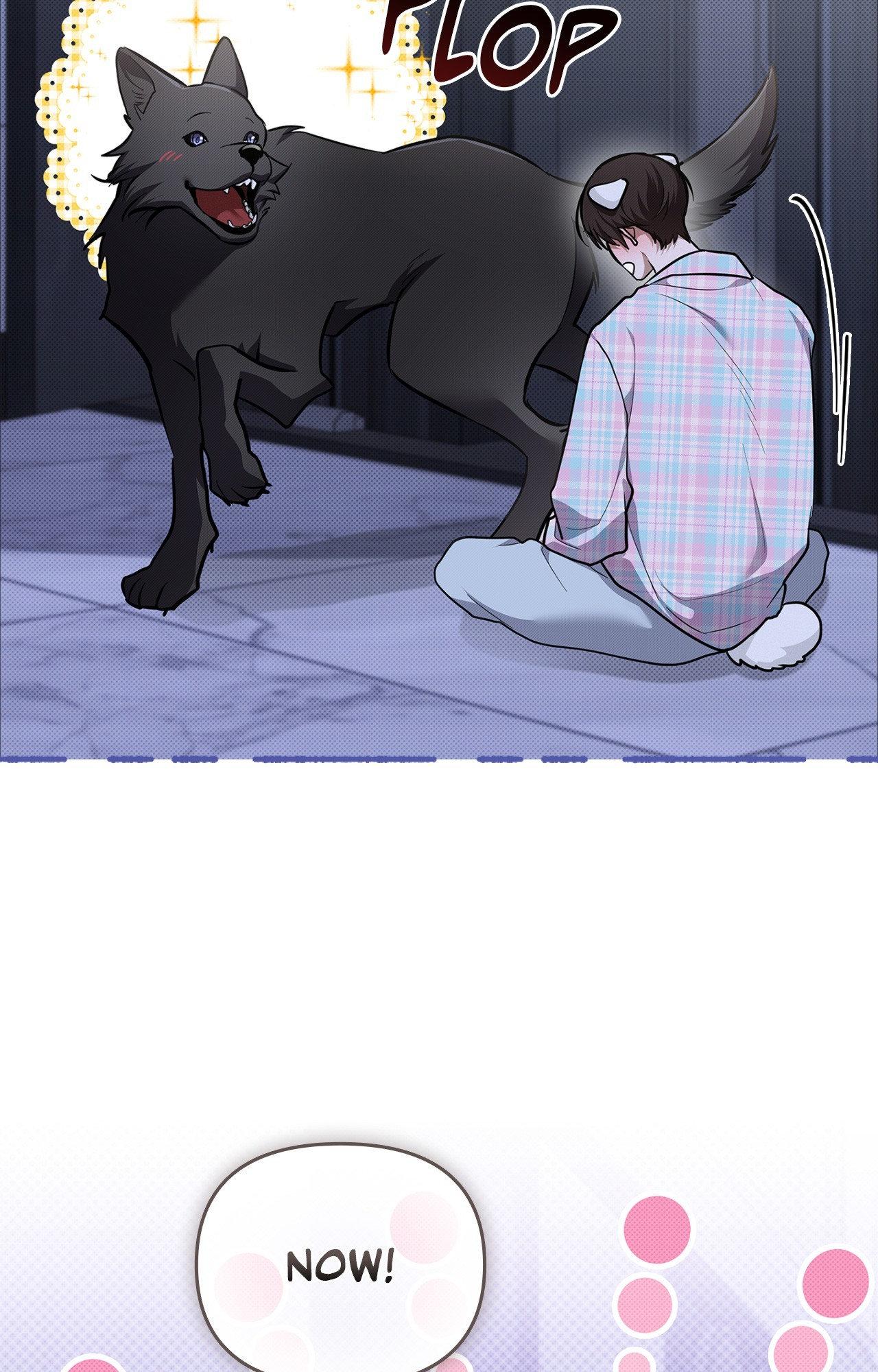 Read Paws & Claws chapter 6 image 91 on Lezhin
