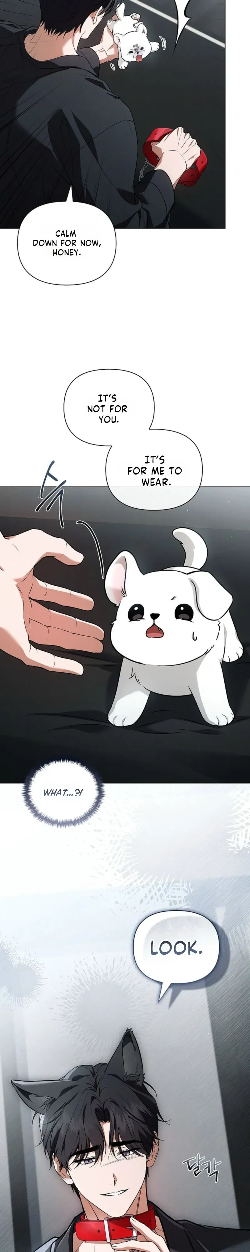 Read Paws & Claws chapter 60 image 17 on Lezhin