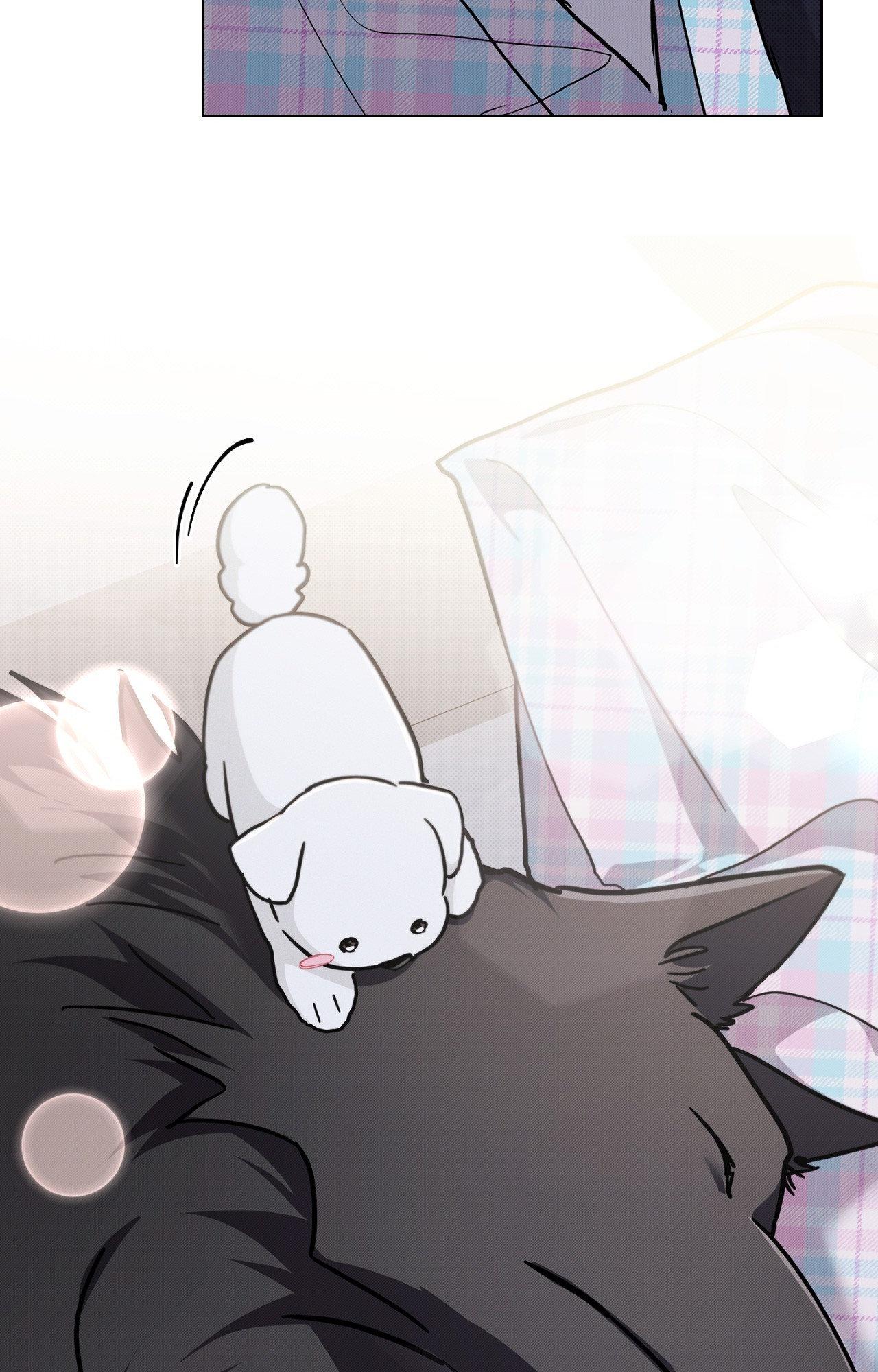 Read Paws & Claws chapter 7 image 19 on Lezhin