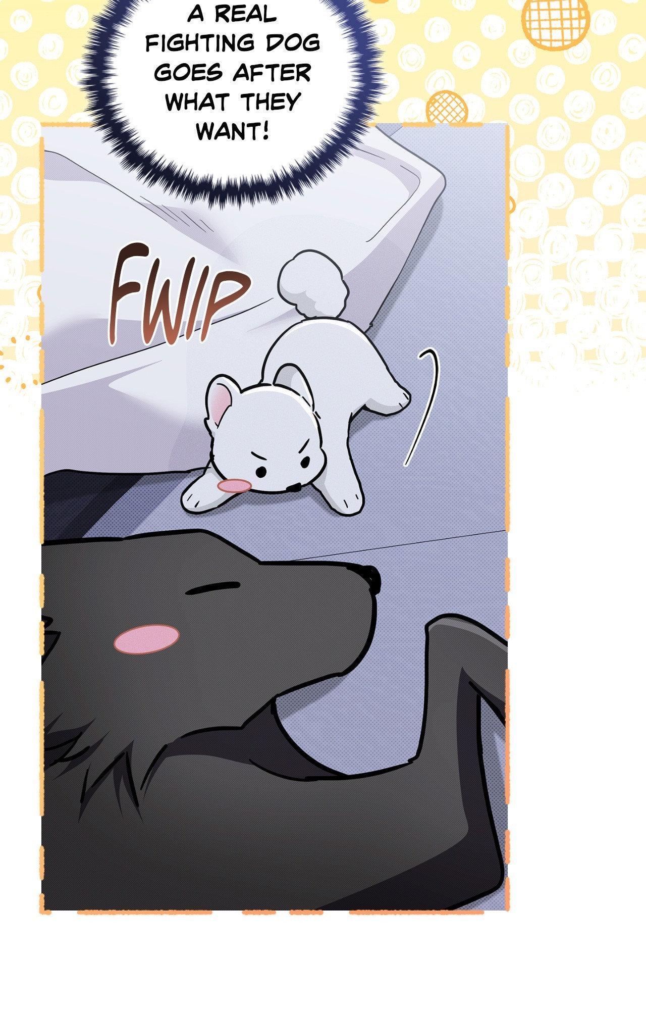 Read Paws & Claws chapter 7 image 30 on Lezhin