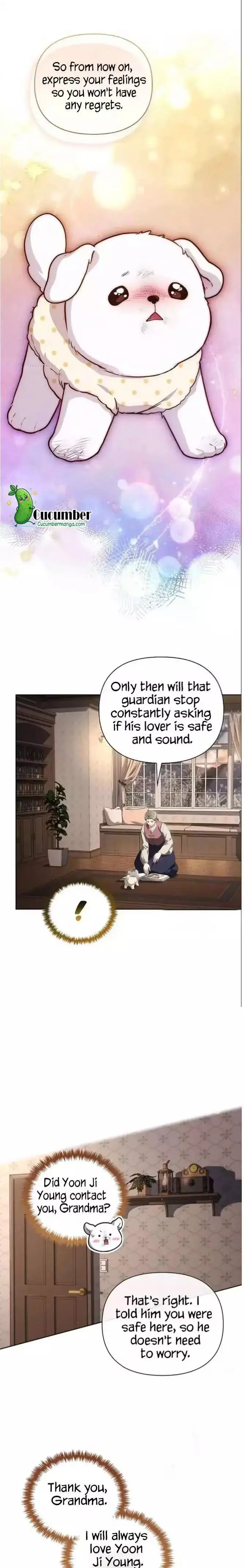 Read Paws & Claws chapter 70 image 1 on Lezhin