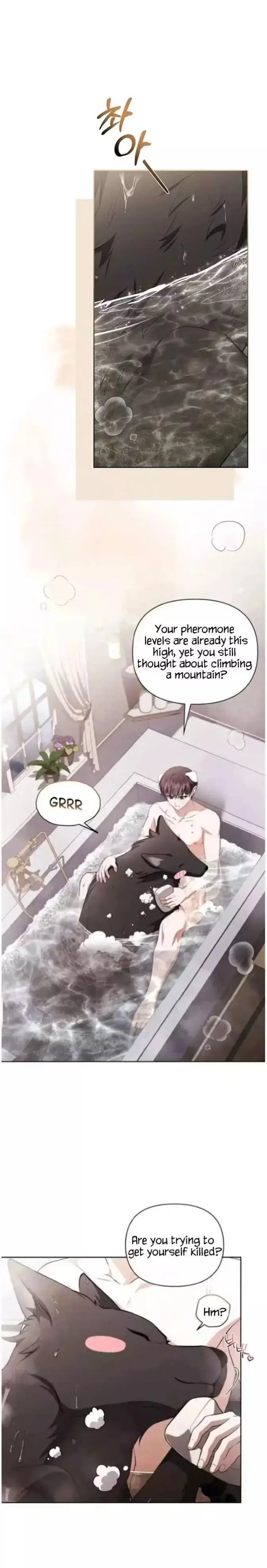 Read Paws & Claws chapter 71 image 10 on Lezhin