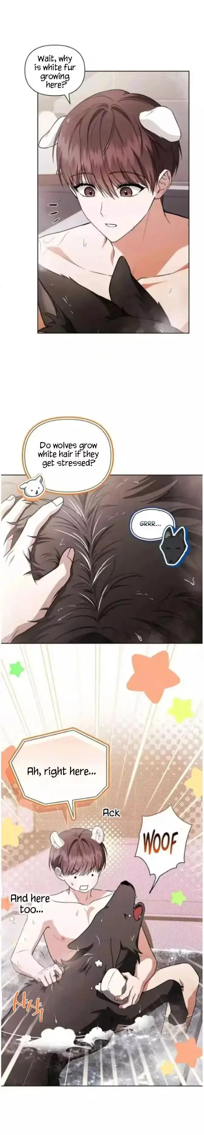 Read Paws & Claws chapter 71 image 11 on Lezhin