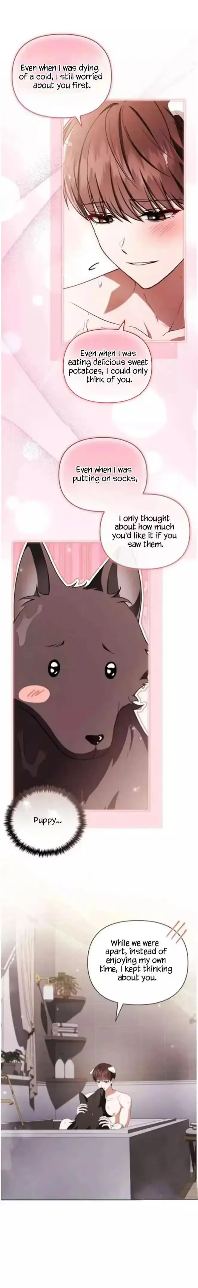 Read Paws & Claws chapter 71 image 15 on Lezhin