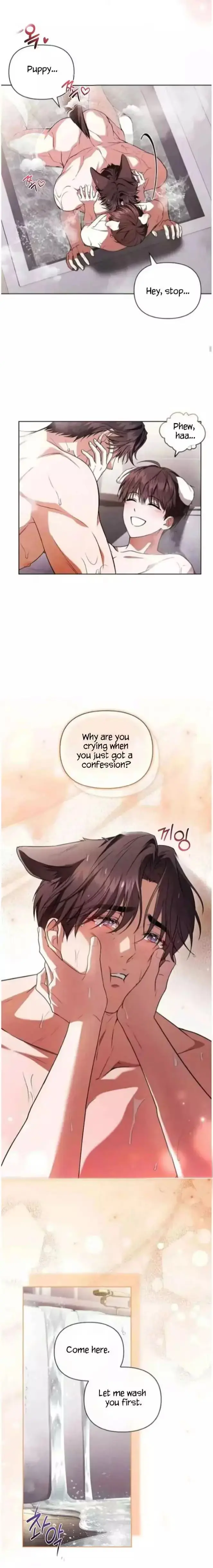 Read Paws & Claws chapter 71 image 18 on Lezhin