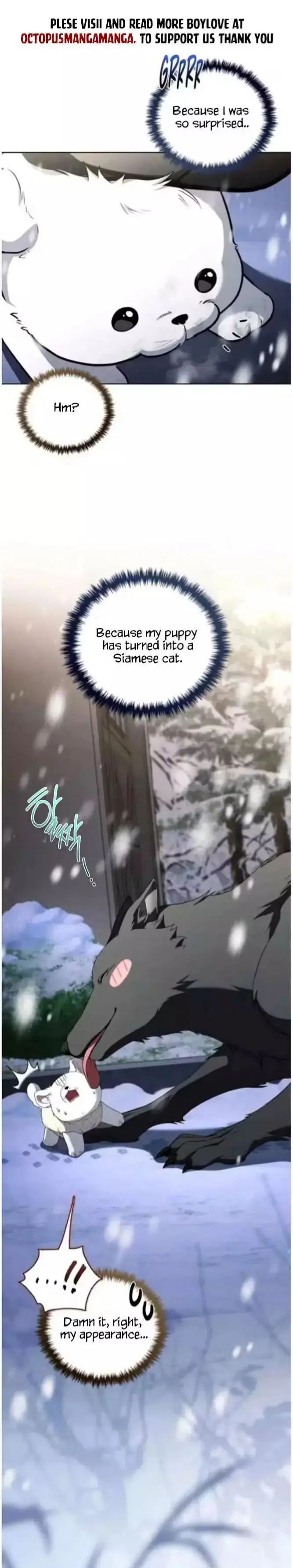 Read Paws & Claws chapter 71 image 2 on Lezhin