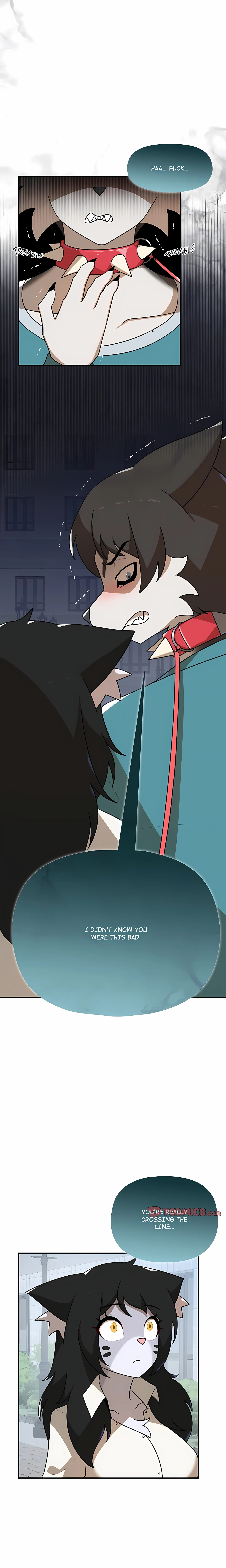 Read Paws on Campus chapter 42 image 2 on Lezhin