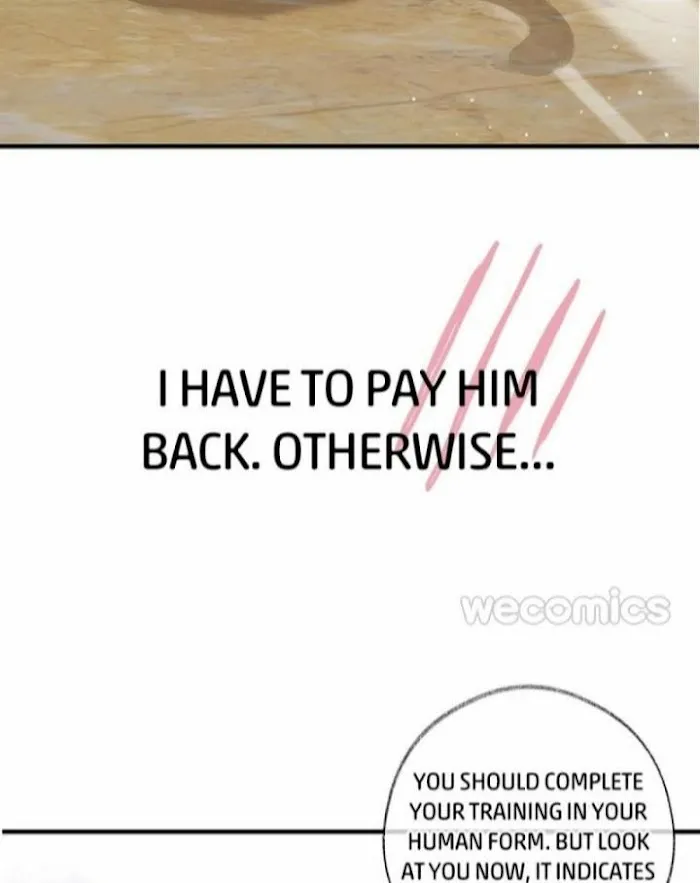 Read Pay Me Back, Mr. Cat chapter 0 image 13 on Lezhin