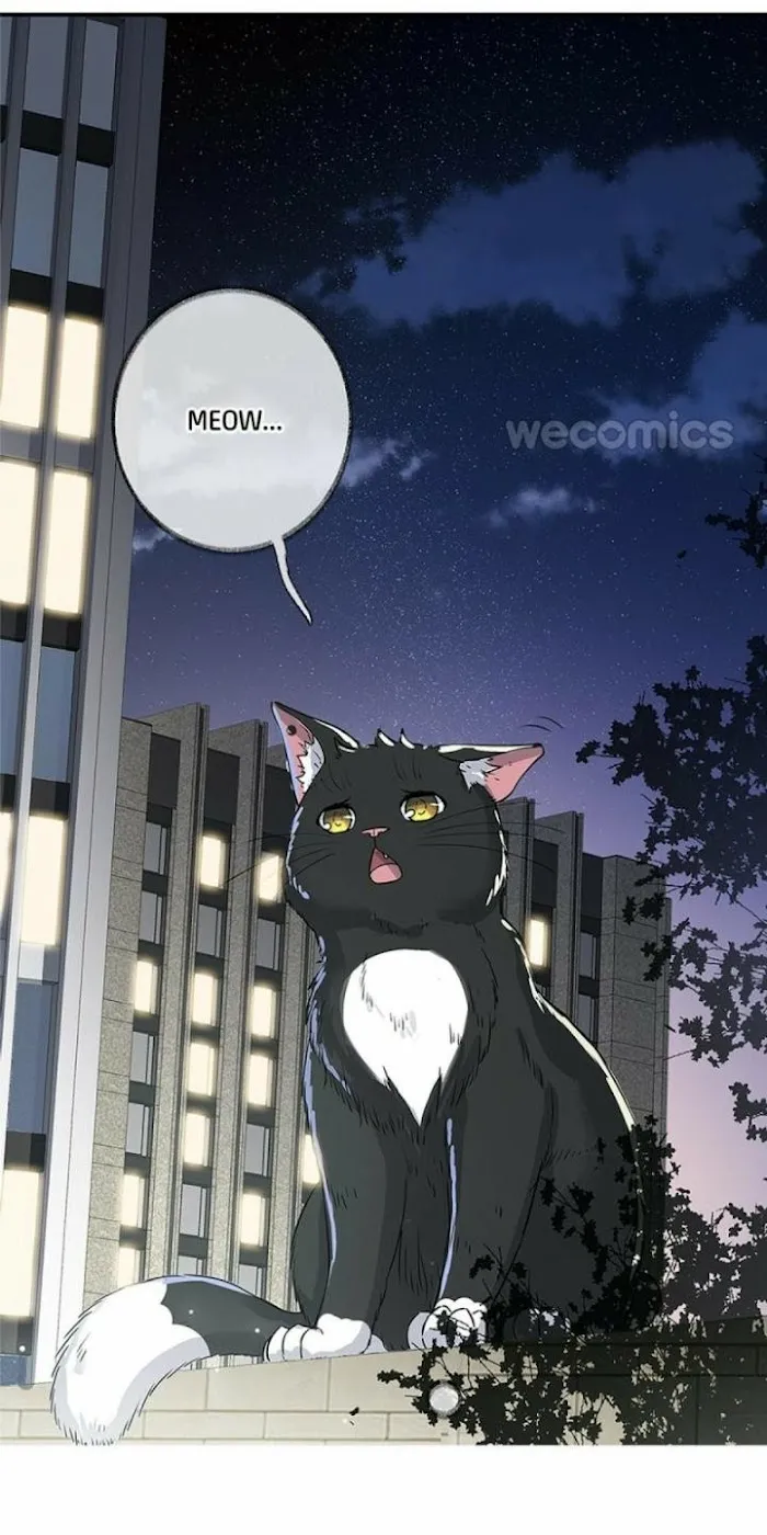 Read Pay Me Back, Mr. Cat chapter 0 image 16 on Lezhin