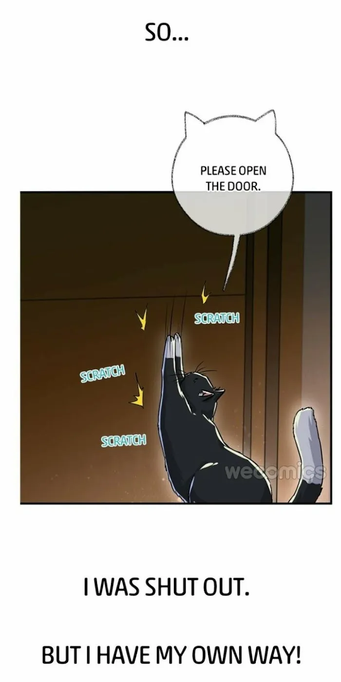 Read Pay Me Back, Mr. Cat chapter 0 image 17 on Lezhin