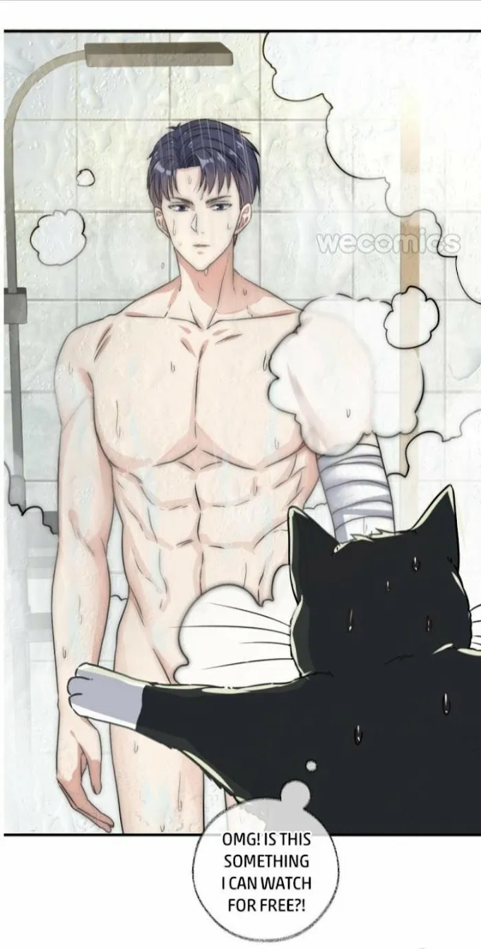 Read Pay Me Back, Mr. Cat chapter 0 image 19 on Lezhin