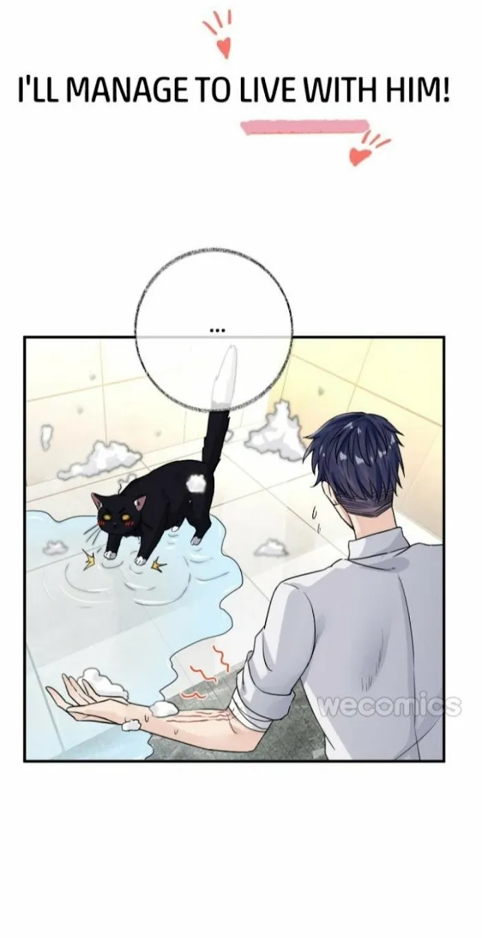 Read Pay Me Back, Mr. Cat chapter 0 image 20 on Lezhin